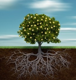 A SUA CONTRIBUI&Ccedil;&Atilde;O &Eacute; MUITO IMPORTANTE PARA A MANUTEN&Ccedil;&Atilde;O DOS BENEF&Iacute;CIOS CONQUISTADOS AO LONGO DE 30 ANOS!