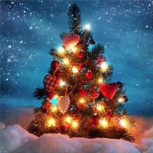 Feliz Natal e um Pr&oacute;spero Ano novo!!!